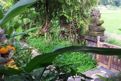 20160216_155759-1024x616