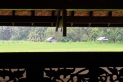 DSC01841-1024x683