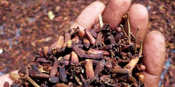 Dried-Cloves